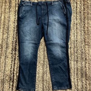 Torrid Drawstring jeans.